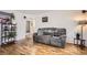 Inviting living room with hardwood floors, a comfortable gray couch, and stylish decor at 1254 S Osceola St, Denver, CO 80219