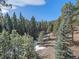 Serene view of the backyard with lush greenery and a glimpse of snow-dusted ground at 30858 Niakwa Rd, Evergreen, CO 80439