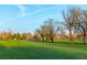 Expansive lush green space with mature trees, offering a serene and picturesque view at 2960 E Floyd Dr, Denver, CO 80210