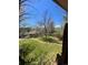 Scenic backyard view from the deck, showcasing lush green grass, mature trees, and landscaping at 10064 W Lake Dr, Littleton, CO 80127
