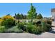 Beautiful landscaping with a variety of plants, trees, and a manicured lawn at 1935 Bashley Rd, Monument, CO 80132