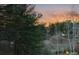 Picturesque wooded landscape surrounding the property, offering privacy and a natural aesthetic at 2580 Saddleback Dr, Castle Rock, CO 80104