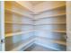 Walk-in pantry with multiple shelves for ample storage space at 643 Ranchhand Dr, Berthoud, CO 80513