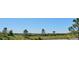 Scenic view of trees and open fields, suggesting a serene and private location at 2012 Sagerock Dr, Castle Pines, CO 80108