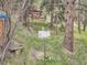 Backyard with a generator and view of a house at 6837 S Brook Forest Rd, Evergreen, CO 80439