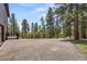 Gravel driveway lined by mature trees providing ample parking space at 30866 Kings Valley Way, Conifer, CO 80433