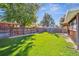 Lush backyard featuring a well-manicured lawn and a private wooden fence at 7910 Hooker St, Westminster, CO 80030