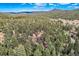 Aerial view showcasing the house surrounded by lush green trees with mountains in the background at 28669 Mountain View Rd, Conifer, CO 80433