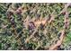 Aerial view of the property outlined in red showcasing its location amongst lush green trees at 28669 Mountain View Rd, Conifer, CO 80433