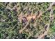 Aerial view of the property, nestled amongst lush green trees with a dirt driveway entrance at 28669 Mountain View Rd, Conifer, CO 80433