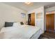 Bedroom features a built-in wardrobe with drawers, closet space, and a wood-look door at 28669 Mountain View Rd, Conifer, CO 80433