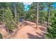 Lush forest land with shed surrounded by tall trees and an ample driveway for easy access and parking at 28669 Mountain View Rd, Conifer, CO 80433