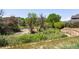 Lush backyard with an expanse of greenery, bordered by a retaining wall and mature trees at 14833 E Crestridge Dr, Centennial, CO 80015