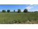 Expansive green space with mature trees provide a tranquil outdoor environment at 13271 Holly St # B, Thornton, CO 80241
