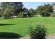 Lush green space with mature trees and plants provide a tranquil outdoor environment at 13271 Holly St # B, Thornton, CO 80241