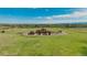 Aerial view of stone clad house on expansive green parcel with mountains in the distance at 15958 Shadow Mountain Ranch Rd, Larkspur, CO 80118