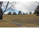 A sidewalk and large grassy common area with several trees in a well-maintained community at 6150 W Mansfield Ave # 33, Denver, CO 80235