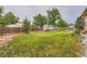Large backyard with green lawn, RV parking and privacy fence at 4162 S Dunkirk Way, Aurora, CO 80013