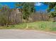 A lush, green lot filled with mature trees and native grasses slopes gently down to the road at 7134 Kiowa Rd, Larkspur, CO 80118