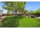Spacious backyard featuring a large tree swing and well-maintained lawn at 5302 S Robb Ct, Littleton, CO 80127