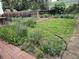 Lush garden area perfect for outdoor enjoyment and gardening enthusiasts at 3710 Miller Ct, Wheat Ridge, CO 80033