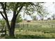 Pasture with horses grazing in the distance, showcasing the property's ranch-style living at 2091 Tate Ave, Fort Lupton, CO 80621