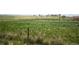 Fenced pastureland ideal for livestock or equestrian pursuits enhances the country lifestyle at 2091 Tate Ave, Fort Lupton, CO 80621
