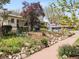 Attractive front yard with garden beds, a lush lawn, and a sidewalk leading to a well-maintained residential property at 3953 Tejon St, Denver, CO 80211