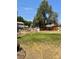 Large backyard with a mix of grass and dry areas, accented by mature trees and a quaint brick patio at 8501 W 52Nd Ave, Arvada, CO 80002