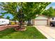 Charming home with a well-manicured lawn, mature shade tree, and a welcoming two-car garage at 4520 E 112Th Pl, Thornton, CO 80233