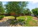 Expansive backyard with mature tree coverage, storage shed, partial grass coverage, and perimeter fencing at 5993 Oneida St, Commerce City, CO 80022