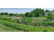 Lush green backyard with beautiful meadow, perfect for outdoor activities and relaxation at 17595 E Mansfield Ave # 1331L, Aurora, CO 80013