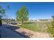 Spacious backyard featuring a hot tub, patio, seating area, and mature trees at 8700 Ehler Pkwy, Brighton, CO 80602