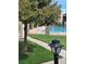 Community pool area with lush green grass and mature trees surrounding the pool at 8225 Fairmount Dr # 106, Denver, CO 80247
