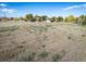 A broad, grassy field suggests development potential with level land for creating your dream space at 6365 W Coal Mine Ave, Littleton, CO 80123