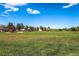 Expansive green lawn with playground, trees, and housing in the distance at 9180 Rolling Way # 303, Parker, CO 80134