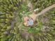 An aerial view shows the house nestled among the trees along with a long driveway at 509 Paiute Rd, Evergreen, CO 80439