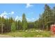 Backyard view with mature trees, rock border, and a small section of a barn at 509 Paiute Rd, Evergreen, CO 80439