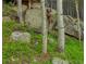 A carved bear stands between two aspen trees in the yard of this mountain cabin at 509 Paiute Rd, Evergreen, CO 80439