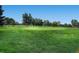 Lush green golf course with trees under a clear blue sky at 8264 S Fillmore Way, Centennial, CO 80122