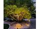 Exterior landscape lighting highlights the rock mulch and trees in the front yard at night at 9158 Forest St, Firestone, CO 80504