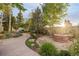 Expansive backyard with a stone fire pit, lush greenery, and winding pathways at 17995 Minglewood Trl, Monument, CO 80132