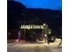 Night view of snowy town street with lit trees under dark mountain backdrop at 1890 Argentine St # D203, Georgetown, CO 80444
