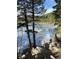 Frozen lake view framed by pine trees and rocks at 1890 Argentine St # D203, Georgetown, CO 80444