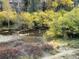 Scenic river view featuring a person fishing in a mountain river lined with trees and foliage at 1890 Argentine St # D203, Georgetown, CO 80444