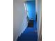 A painted blue stairway leads to a bright blue exterior door with a pet door at 215 Colorado Blvd, Idaho Springs, CO 80452