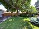 Spacious green backyard with a large shade tree and a wood fence for privacy at 1273 S Jackson St, Denver, CO 80210