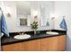 Bathroom has double sinks with black countertop and light wood cabinets at 2240 N Clay St # 501, Denver, CO 80211