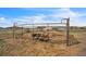 A pen on the property contains livestock, adding a rural or agricultural element to the landscape at 15125 Spring Valley Rd, Larkspur, CO 80118