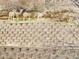 A group of deer stand above the terraced backyard block wall, partially obstructed by bare tree branches at 7329 Arco Iris Ln, Castle Pines, CO 80108